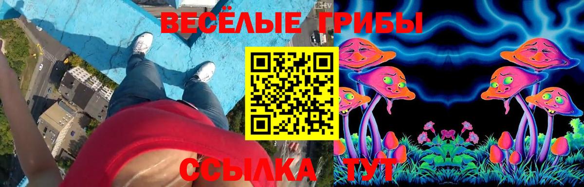 Галлюциногенные грибы мицелий Кореновск